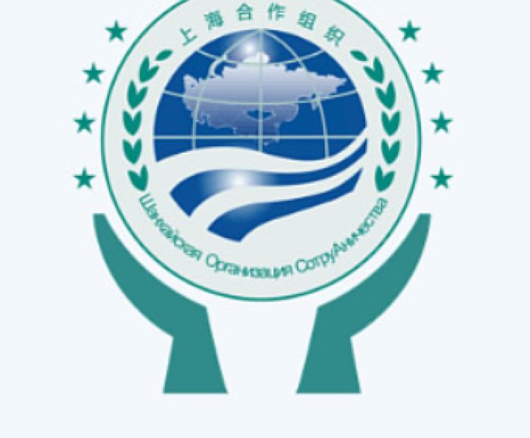 青島華睿源科技有限公司 門戶網站軟件開發(fā)